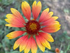 -北京小汤山医院体检中心