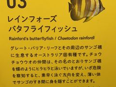 -大阪海游馆