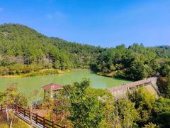 -广州白江湖森林公园