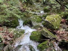 -本溪汤沟绿石谷森林公园