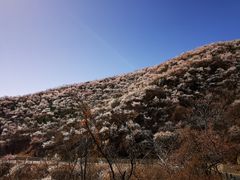 -妙峰山风景名胜区