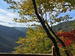 -五女峰国家森林公园