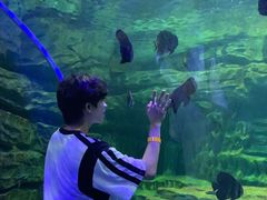 -龙谷湾旅游休闲度假区