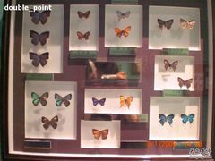 -上海昆虫博物馆