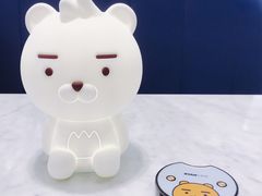 -KAKAO FRIENDS(弘大店)