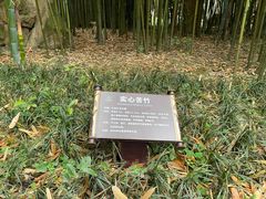 -望江楼公园