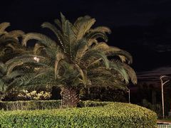 -绿城千岛湖喜来登度假酒店