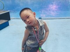 -海合安成都极地海洋公园