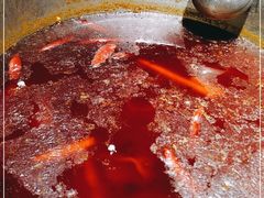 -融泽漁悦三只耳鱼火锅(南郑大道店)