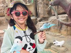 -西霞口神雕山野生动物世界