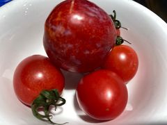 -七欣天香辣蟹火锅(无锡金太湖国际城店)