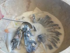 -淘米捞·米汤脆鲩鱼火锅(福田皇岗店)