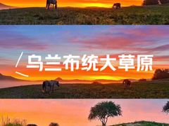 -乌兰布统草原
