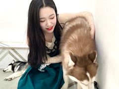 -星多哈·狗咖·拼豆·咖啡