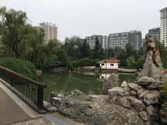 -西苑公园
