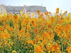 -中国天府农业博览园