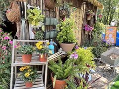 -沂蒙山旅游区龟蒙景区