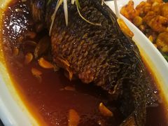 -津菜宋记老房子(鼓楼店)
