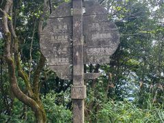 -梧桐山风景名胜区