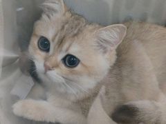 -宠颐生中康贝怡动物医院