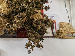 -唐咖精品咖啡(大理古城手冲店)