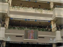 -上海市东方医院(总院)