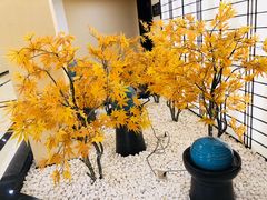 -汤里来温泉