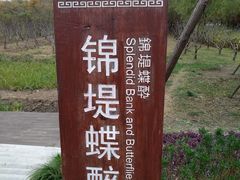 -长田漾湿地公园
