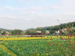 -红山村