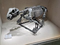 -辽宁古生物博物馆