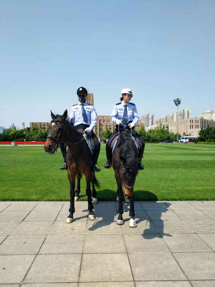 大连女骑警训练基地-"vip佩奇周 愿你的悲伤无须遮掩愿你.
