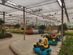 -南宫五洲植物乐园