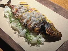 -OTIUM • 柴屿麦(亮马桥店)