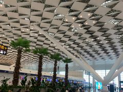 -郑州新郑国际机场-T2航站楼