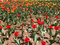 -长春公园(普阳街道)