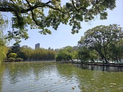 -翠湖公园
