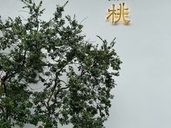 -青桃餐厅