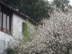 -苏州上方山国家森林公园