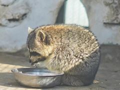 -J Create城市露营咖啡·简餐·宠物(上海动物园店)