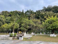 -天鹿湖森林公园