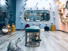 -BABIT巴比特宠物(MOMOPARK店)