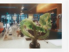 -sugarman espresso素饮糖人高新咖啡工厂