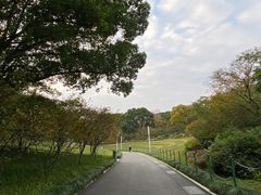 -大宁公园