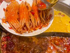 -朱光玉火锅馆(正弘城店)