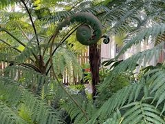 -国家植物园南园