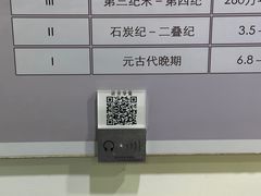 -中国第四纪冰川遗迹陈列馆