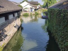 -鲁镇