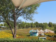 -鄂尔多斯野生动物园