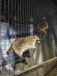 -酷嗒动物文化乐园(cutezoo西溪乐天城店)