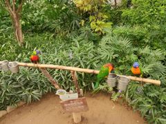 -南宫五洲植物乐园